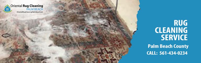 Persian Rug Cleaning in Palm Beach
