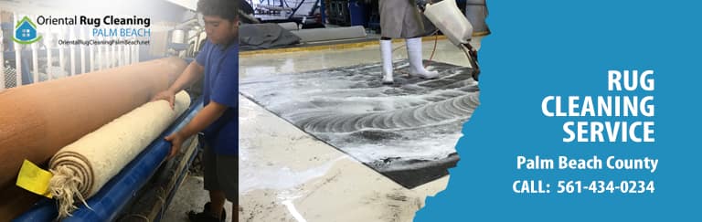 Sisal Rug Larvae Cleaning