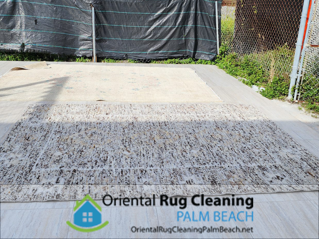 Area Rug Cleaning 1