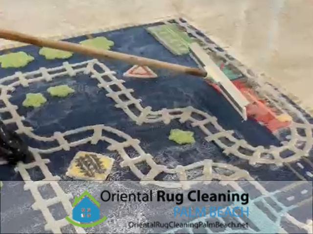 Pet Odor & Stain Removal