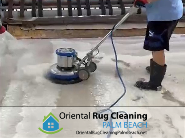 Pet Odor & Stain Removal Service