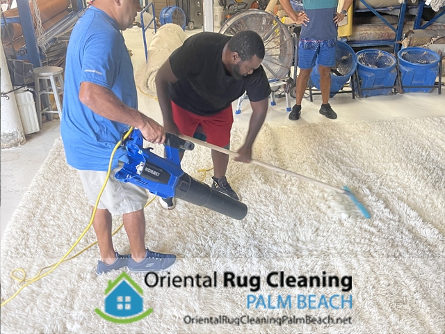 Area Rug Cleaning