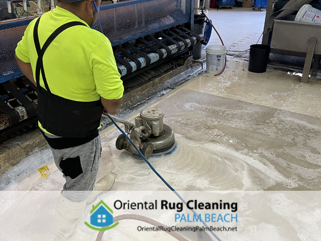 Oriental Rug Cleaning