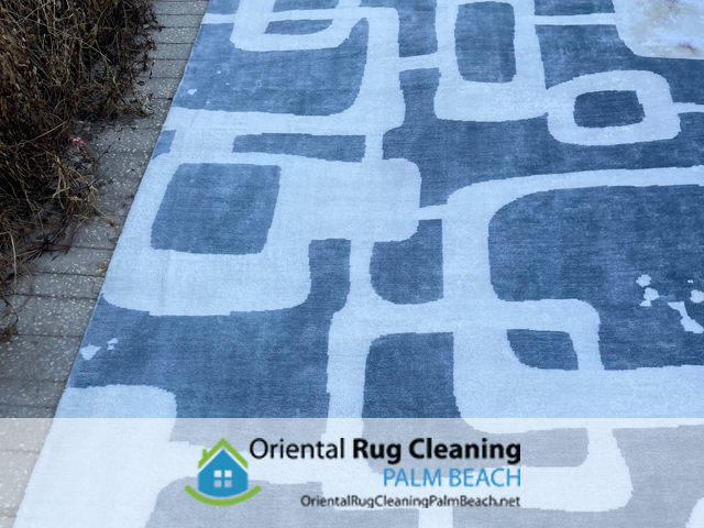 Pet Odor & Stain Removal