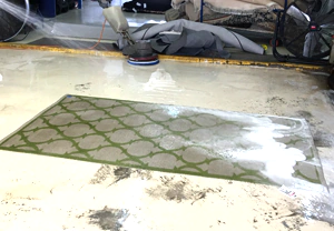 Modern Rug Cleaning Service Modern Rug Cleaning Service