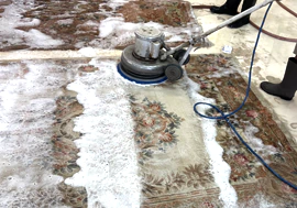 Oriental Rug Clean Process