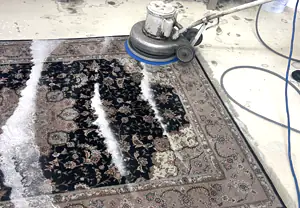 Oriental Rug Cleaning Service