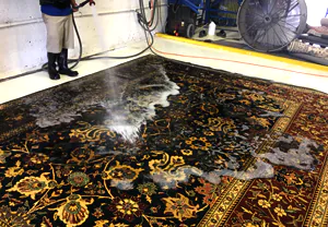 Oriental Rug Cleaning