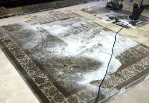 Oriental Rug Washing Service