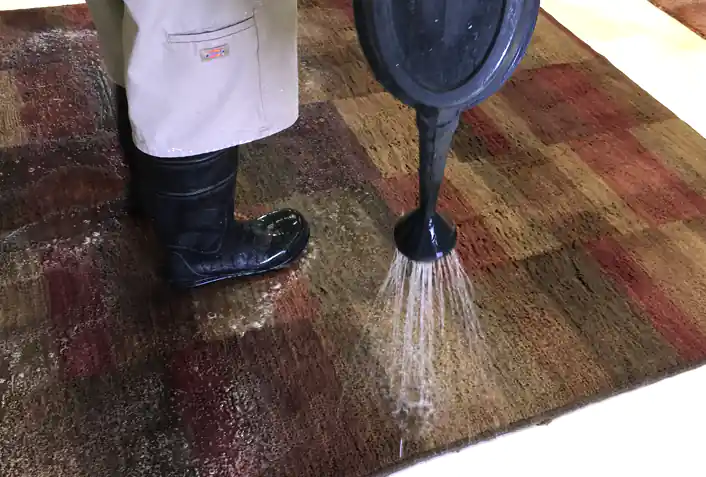 Rug Washing Service Palm Beach Rug Washing Service Palm Beach